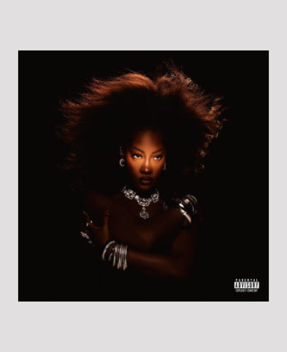 Tems / Born in the Wild アナログ ◎8/14(火)新譜入荷情報 : ディスク