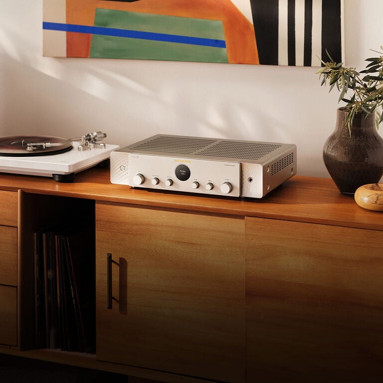 Silver-Gold Model 70