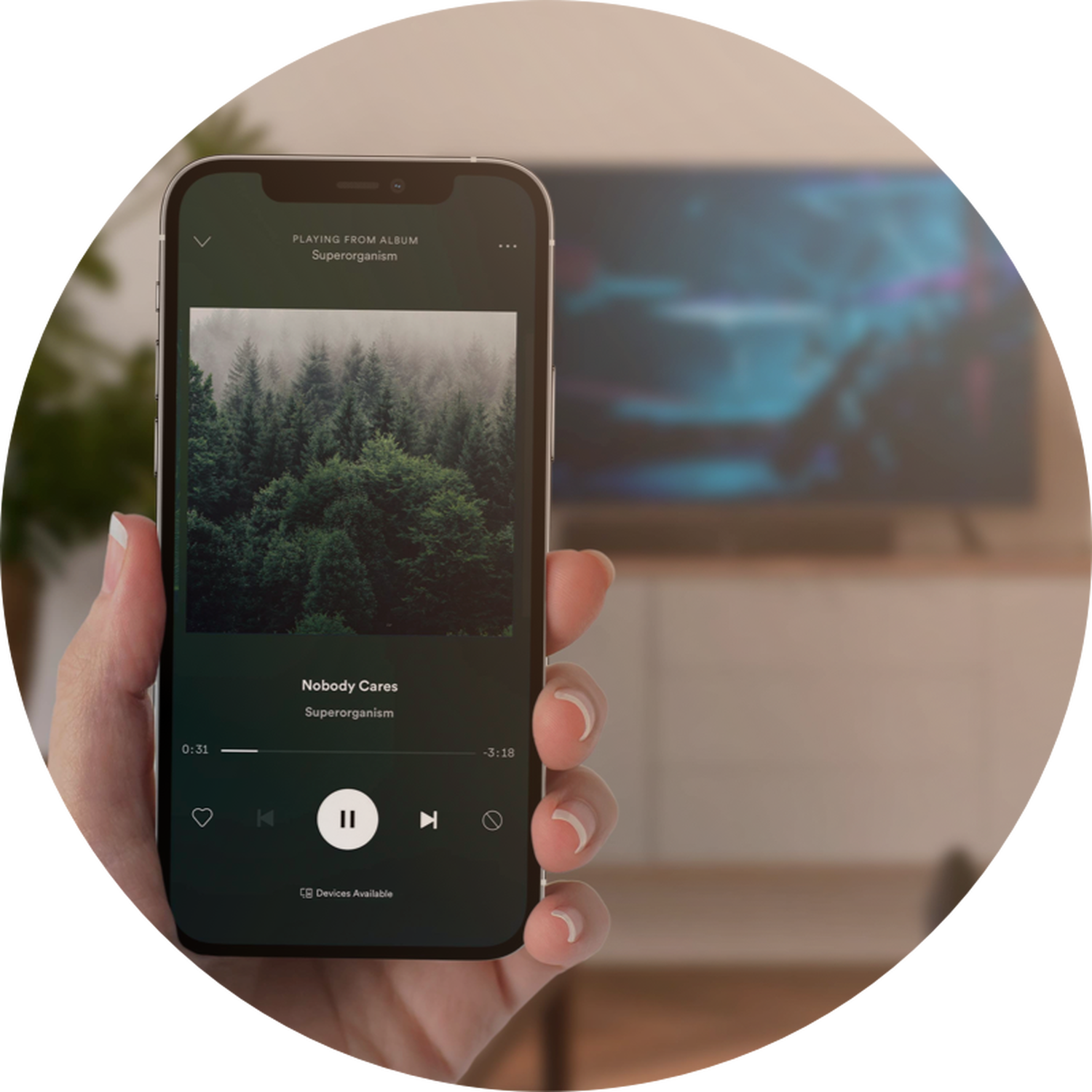Audio Streaming - Spotify