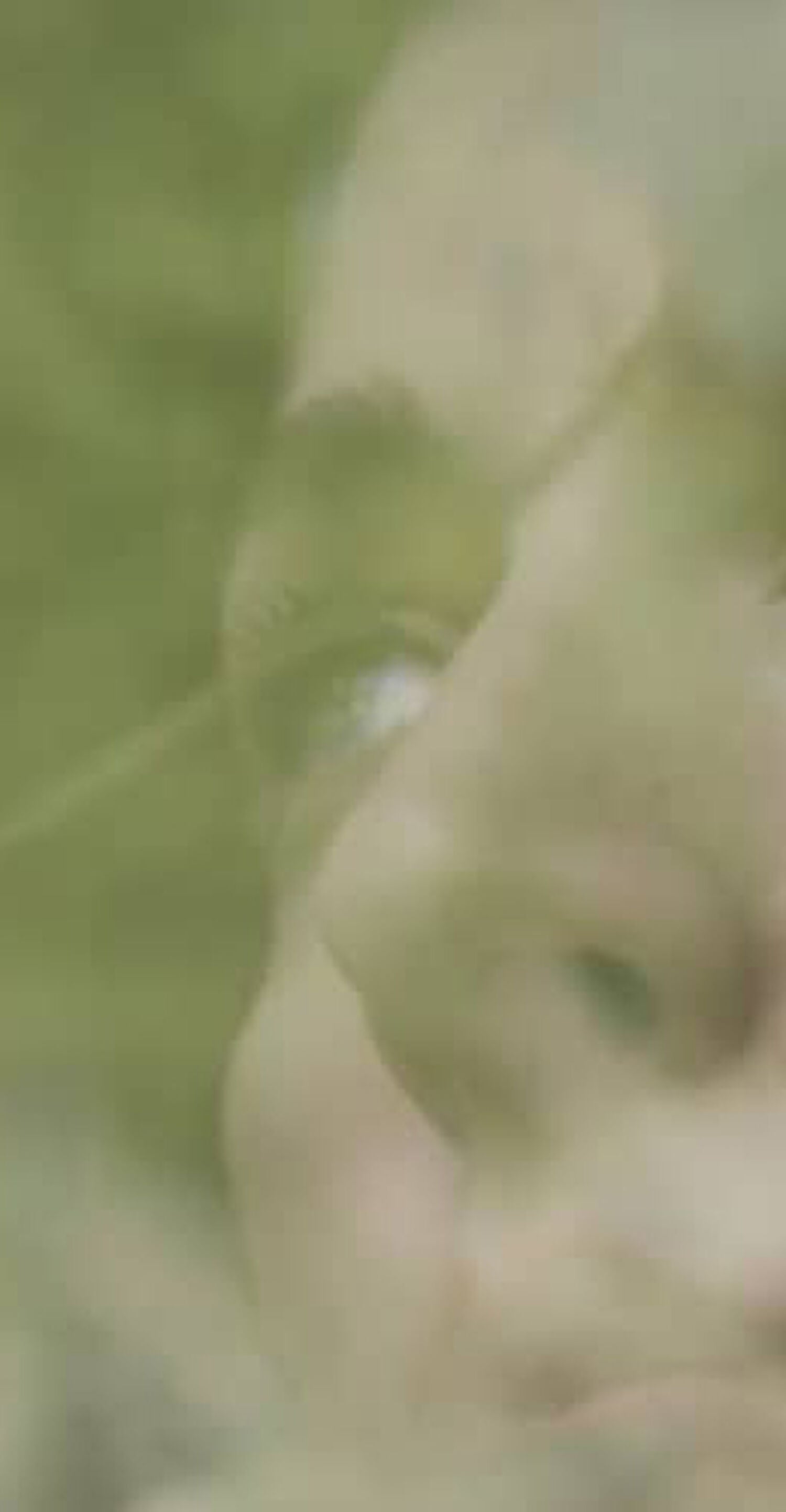 Caroline Polachek - I have a real love