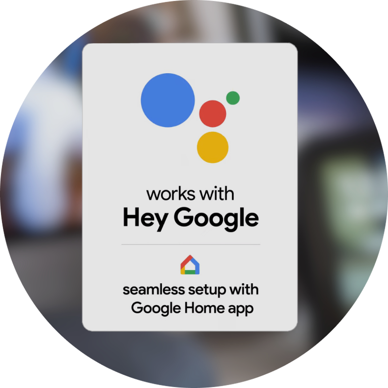 Google Assistant - Setup is quick and easy