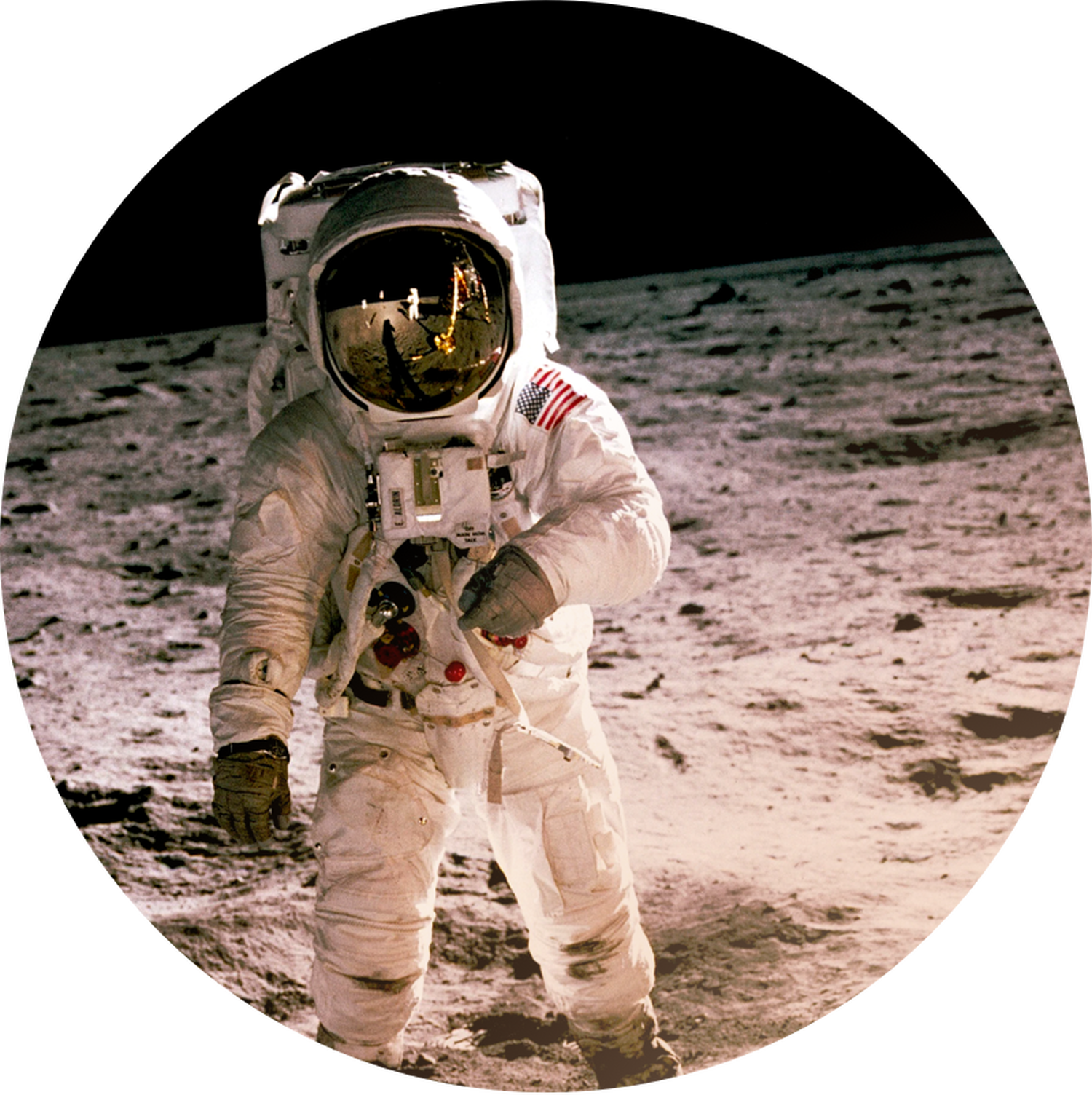 A Mark of Performance - A true moonshot