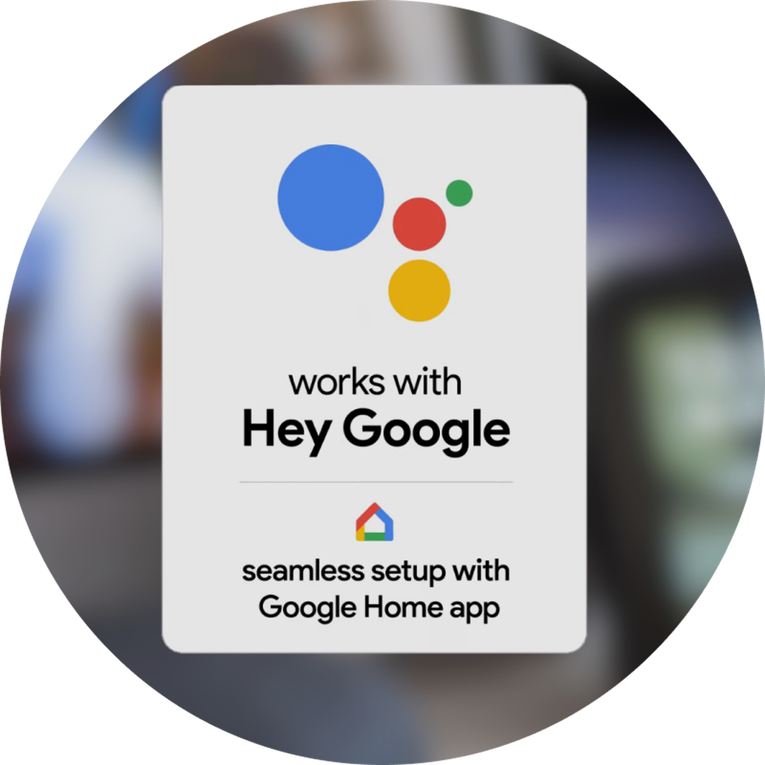 Google Assistant - Setup is quick and easy