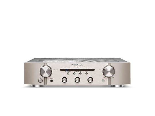PM6007 - Silver front view