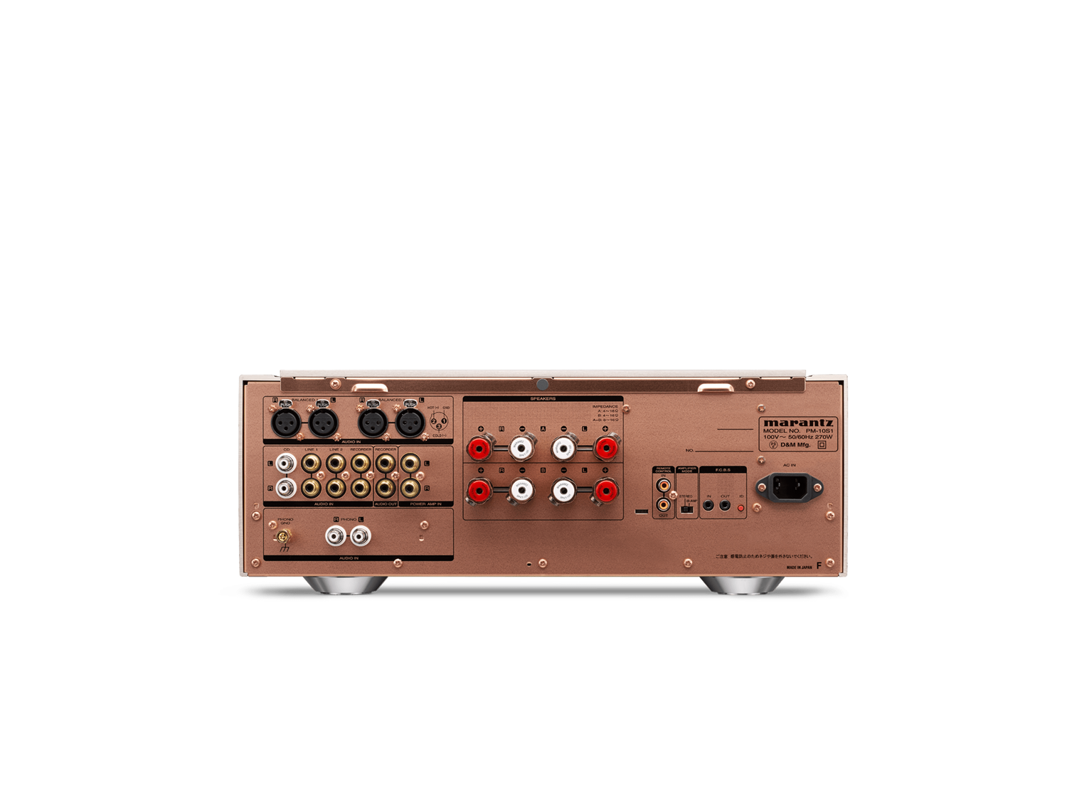 PM-10, ゴールド, dynamic