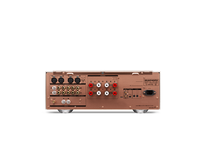 PM-10, ゴールド, dynamic