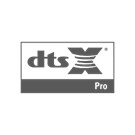 dts-x-pro #1